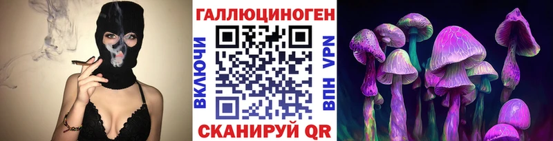 Псилоцибиновые грибы Psilocybine cubensis  Плавск 